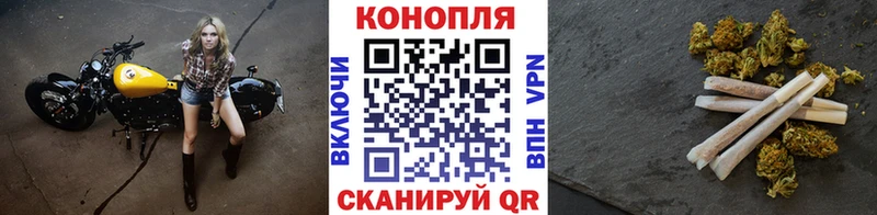 Бошки Шишки VHQ  Бодайбо 